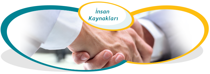 İnsan Kaynakları